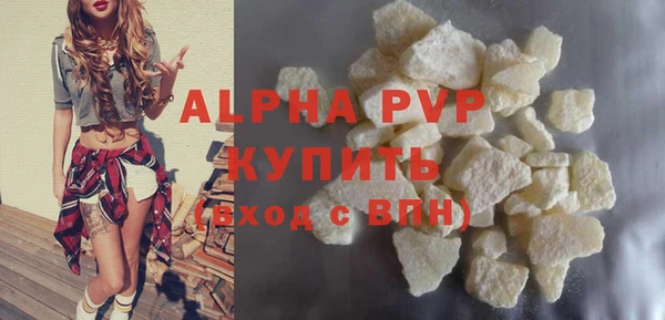 эйфоретик Чегем