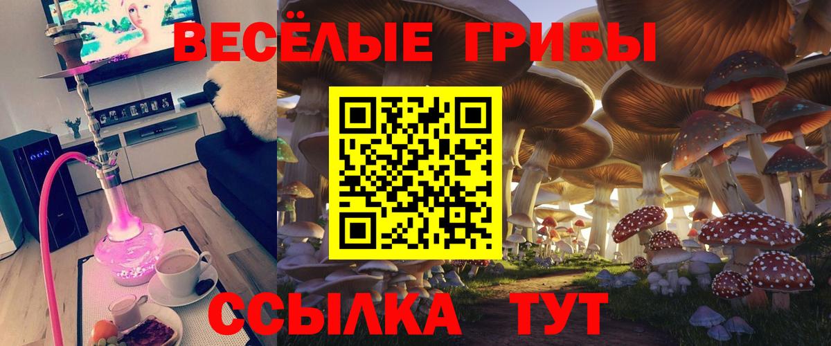Псилоцибиновые грибы GOLDEN TEACHER  Вход с VPN  Рязань 