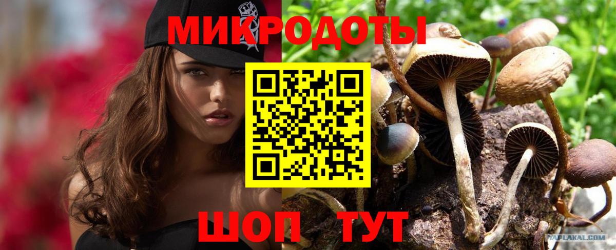 Псилоцибиновые грибы Psilocybine cubensis Рязань