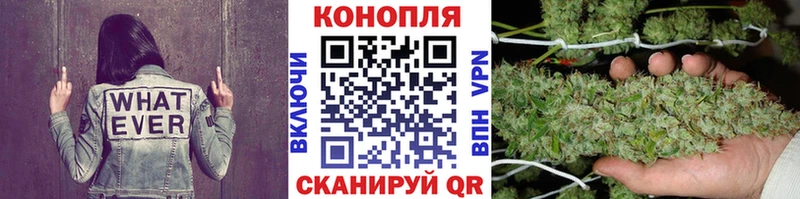 Конопля SATIVA & INDICA что такое наркотик Рязань